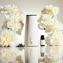 画像をギャラリービューアに読み込む, スマイリング ティオニー アロマディフューザー専用フレグランスオイル(15ml)|BÉLAIR LAB(ベレアラボ)