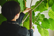 画像をギャラリービューアに読み込む, 2026 ムーンカレンダー MOON Calendar(週めくり/短冊形)|NUDE LAMP(ヌードランプ)