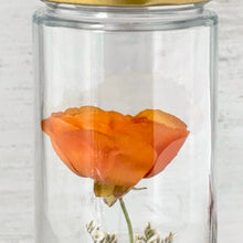 画像をギャラリービューアに読み込む, ラナンキュラスのボトルフラワー|Infini(アンフィニ)