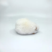 画像をギャラリービューアに読み込む, ベビーアルパカ100% 手作りぬいぐるみ(モルモット)白 ペルー職人仕立て・一点もの|RUNA SHOP(ルナショップ)