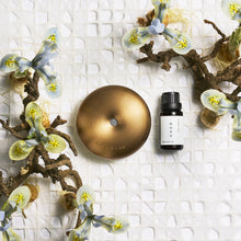 画像をギャラリービューアに読み込む, フィーリング ムク アロマディフューザー専用フレグランスオイル(15ml)|BÉLAIR LAB(ベレアラボ)