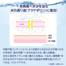 画像をギャラリービューアに読み込む, マニール プレローション|JLP(ジェイエルピー)