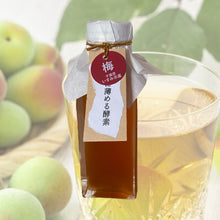 画像をギャラリービューアに読み込む, 【food edit Chiba限定】5倍に薄める酵素(果実漬物)梅 (120g)|いすみの酵素(イスミノコウソ)