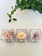 画像をギャラリービューアに読み込む, memorialflower(ケース入り)|atelier violetta(アトリエ ヴィオレッタ)