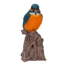 画像をギャラリービューアに読み込む, 切り株に立つ鳴くカワセミ|WooBia(ウービア)