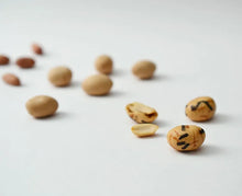 画像をギャラリービューアに読み込む, 初姿|OJIGI N STYLE(オジギエヌスタイル)