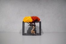 画像をギャラリービューアに読み込む, re盆栽85|TOUFU TOKYO(トウフトウキョウ)