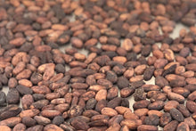 画像をギャラリービューアに読み込む, Tablette: Mpraeso Amanfrom, Ghana 70%(70%ダークチョコレート:ガーナ、エンプレーソ・アマンフロム村)|L'atelier de Kanaru chocolat(ラトリエドゥカナルショコラ)