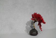 画像をギャラリービューアに読み込む, re盆栽83|TOUFU TOKYO(トウフトウキョウ)