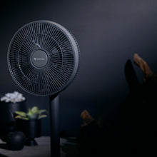 画像をギャラリービューアに読み込む, airyfan ベーシック|cocono(ココノ)