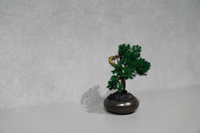 画像をギャラリービューアに読み込む, re盆栽78|TOUFU TOKYO(トウフトウキョウ)