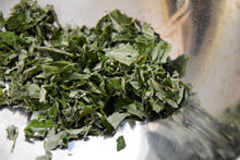 画像をギャラリービューアに読み込む, 温|箱根山麓ハーブTreize13(ハコネサンロクハーブトレーズ)