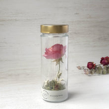 画像をギャラリービューアに読み込む, ラナンキュラスのボトルフラワー|Infini(アンフィニ)