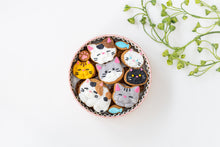 画像をギャラリービューアに読み込む, 『ねむねむにゃんこVer』カラフルで可愛いアイシングクッキー缶|ケーキ工房 アンドンカフェ(ケーキコウボウ アンドンカフェ)