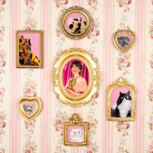 画像をギャラリービューアに読み込む, 【Coucou Suzette】Suzette Cat Hair Claw|CHUPETERIA(チュペテリア)