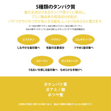 画像をギャラリービューアに読み込む, プレミアムパフュームドテンテンシャンプー/テンテンコンディショナーミニ|FIT YOUR SKIN(フィットユアスキン)