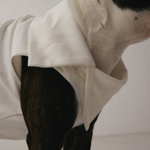 画像をギャラリービューアに読み込む, SIDE NECK PULLOVER(犬服)【INUS x Motoki Shiozawa special collaboretion】|INUS(イヌス)