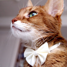 画像をギャラリービューアに読み込む, ルーチェ リボン -パステル-|necono(ネコノ)