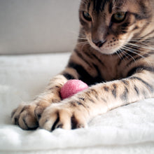 画像をギャラリービューアに読み込む, コロコロボール 8個入 I like you|necono(ネコノ)