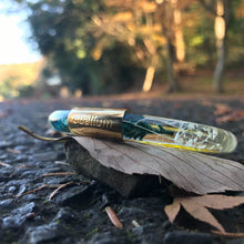 画像をギャラリービューアに読み込む, BANGLE ヘリクリサムの想い出|qualium(クアリウム)