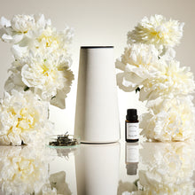 画像をギャラリービューアに読み込む, スマイリング ホワイトティー アロマディフューザー専用フレグランスオイル(10ml)|BÉLAIR LAB(ベレアラボ)