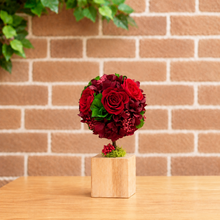 画像をギャラリービューアに読み込む, Oak Topiary S 〜オークトピアリー〜 RED|GINZA SOBI FLOWERS(ギンザ ソビ フラワーズ)