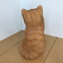 画像をギャラリービューアに読み込む, ソーラーランプを右手で持ち上げる茶トラ猫|WooBia(ウービア)