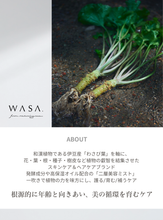 画像をギャラリービューアに読み込む, ニュートリブースト スキンセラムミスト Nutri Boosting Skin Serum Mist|WASA.(ワサ)