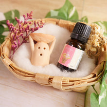 画像をギャラリービューアに読み込む, アロマはにセット|はにストア