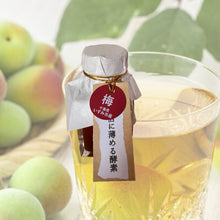 画像をギャラリービューアに読み込む, 【food edit Chiba限定】5倍に薄める酵素(果実漬物)梅 (60g)|いすみの酵素(イスミノコウソ)