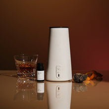 画像をギャラリービューアに読み込む, メルティング アンバー アロマディフューザー専用フレグランスオイル(15ml)|BÉLAIR LAB(ベレアラボ)