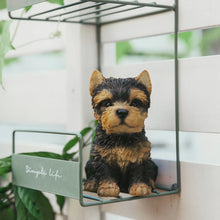 画像をギャラリービューアに読み込む, お座りヨークシャーテリア(小)|WooBia(ウービア)