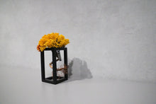 画像をギャラリービューアに読み込む, re盆栽89|TOUFU TOKYO(トウフトウキョウ)