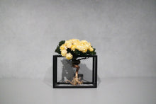 画像をギャラリービューアに読み込む, re盆栽86|TOUFU TOKYO(トウフトウキョウ)