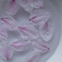 画像をギャラリービューアに読み込む, 薄桜 Usuzakura|KAGUWA(カグワ)