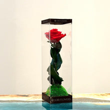 画像をギャラリービューアに読み込む, カド― ~ FUSION ROSE ~ RED|GINZA SOBI FLOWERS(ギンザ ソビ フラワーズ)