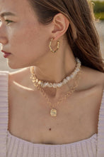 画像をギャラリービューアに読み込む, SCENT(frP-09)|Forest percent(フォレストパーセント)