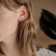 画像をギャラリービューアに読み込む, Juicy(frP-10)|Forest percent(フォレストパーセント)