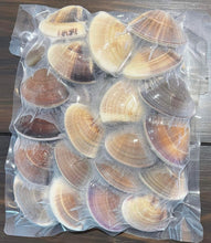 画像をギャラリービューアに読み込む, 健康美人の蛤|茂丸(シゲマル)