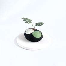 画像をギャラリービューアに読み込む, 炭団オブジェ/南国風リーフをあなたの空間に〜3|櫂の炭(カイノスミ)