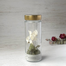 画像をギャラリービューアに読み込む, シクラメンのボトルフラワー|Infini(アンフィニ)