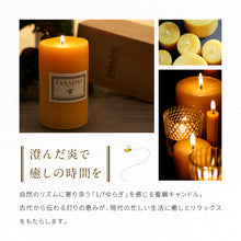 画像をギャラリービューアに読み込む, 蜜蝋キャンドル Lサイズ|FARADAY KAMAKURA(ファラディ カマクラ)