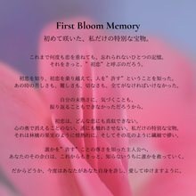 画像をギャラリービューアに読み込む, Apple Blush Ring|Akari.(アカリ)