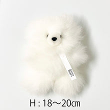 画像をギャラリービューアに読み込む, 【S】 アルパカベア テディベア ぬいぐるみ(BOX付)|Alpaca Bear's(アルパカベアーズ)