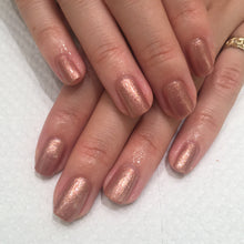 画像をギャラリービューアに読み込む, STARGASM--スターガン |debhoral lippmann(デボラリップマン)