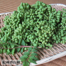 画像をギャラリービューアに読み込む, 山本勝之助商店山椒フリーズドライ|Go Nutting SPICY NUTS(ゴーナッティング スパイシーナッツ)