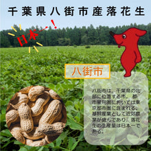 画像をギャラリービューアに読み込む, チーバくんナッツ 100g|Go Nutting SPICY NUTS(ゴーナッティング スパイシーナッツ)