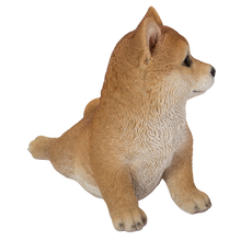 画像をギャラリービューアに読み込む, ストレッチ柴犬|WooBia(ウービア)