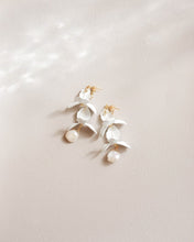 画像をギャラリービューアに読み込む, white flower petal|felice(フェリーチェ)