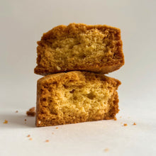 画像をギャラリービューアに読み込む, ガレット・ブルトンヌ|Dinosaur Tree(ダイナソーツリー)